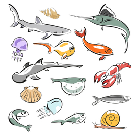 океанические жители