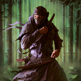 Ninja
