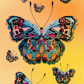 яркие разноцветные бабочки