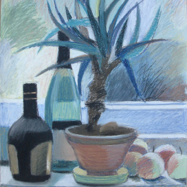 алоэ на окне