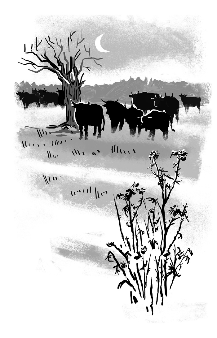 Сергеев «Мои друзья»