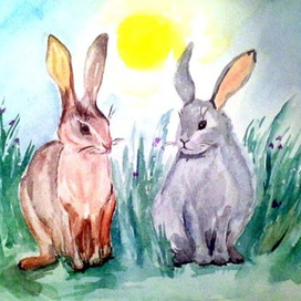 Солнечные зайчики