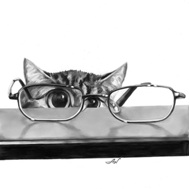 Кот и очки.