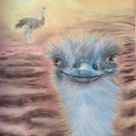 Страусенок