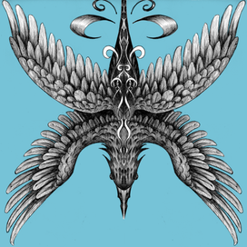 Четырехкрылый ворон