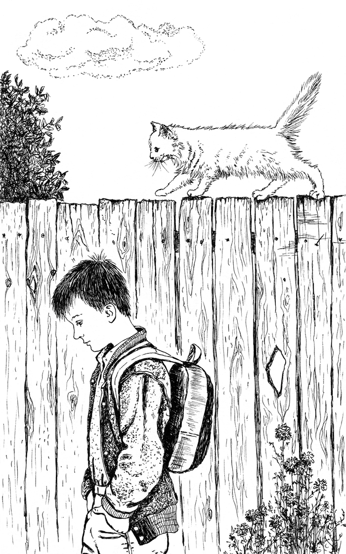 Тестовая иллюстрация для книги "Кошкин город. Бродячие истории"