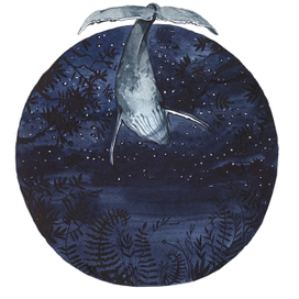 Из серии киты.