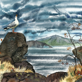 ЧАЙКА-НЕОБЫЧАЙКА