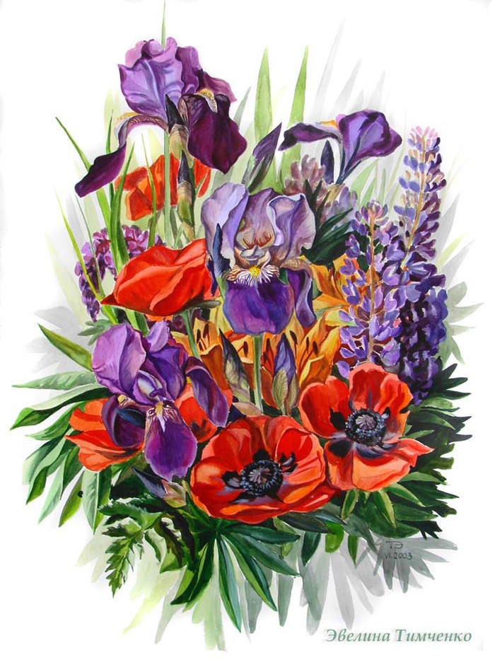 Маки и ирисы