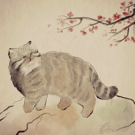 Манул, китайская живопись