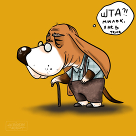 Бассет-старичок