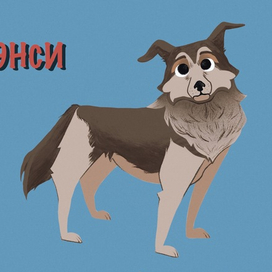 Проект для приюта животных 