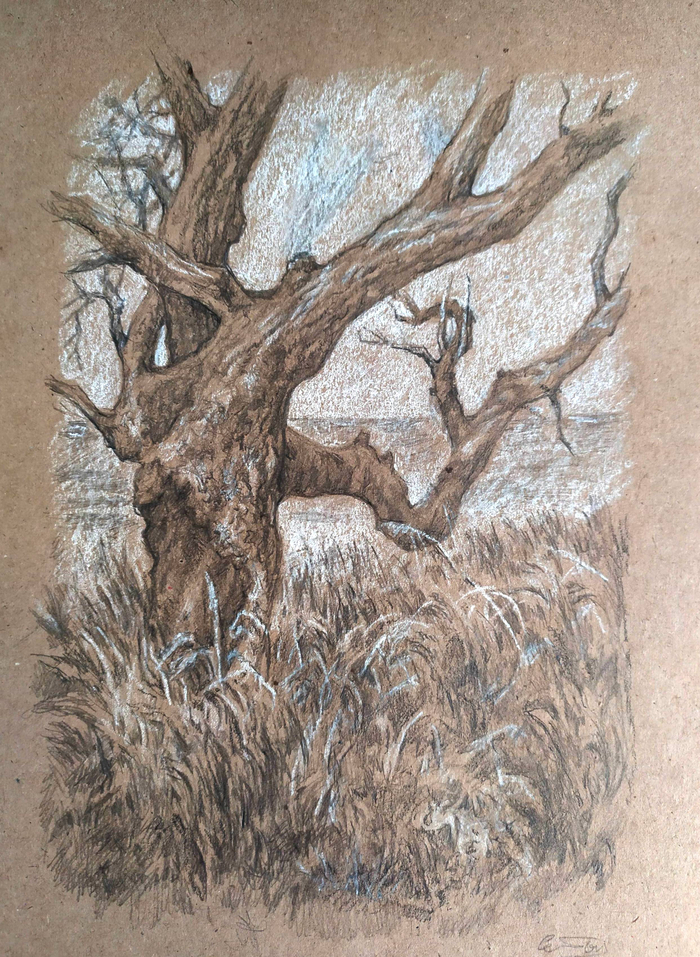 Восточное побережье Северного моря Англии.