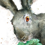 Капуста для журнала "Вокруг света"