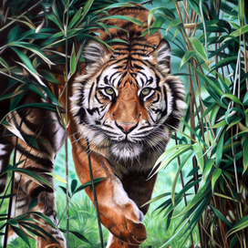 Хозяин джунглей