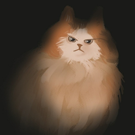 Котик newmemecat 