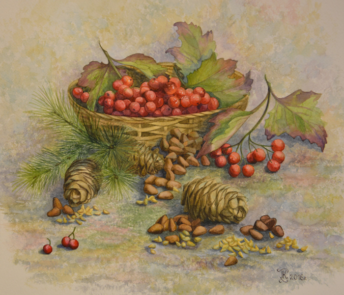 Натюрморт с кедровыми шишками 
