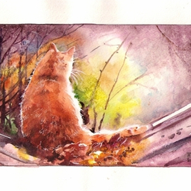 Осенний кот.