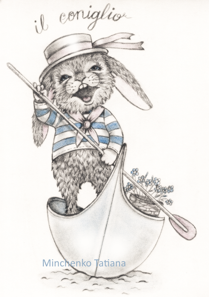 Il coniglio