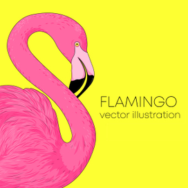 Розовый фламинго