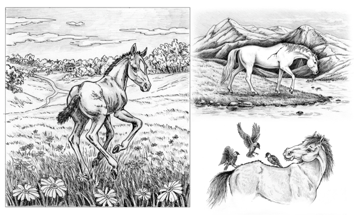 Лошадки к рассказам Ю. Коваля