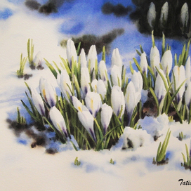 Весна. Первоцвет.