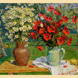 Ромашки и маки