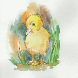 Утенок и цыпленок