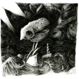 Твёрдый грецкий oрех