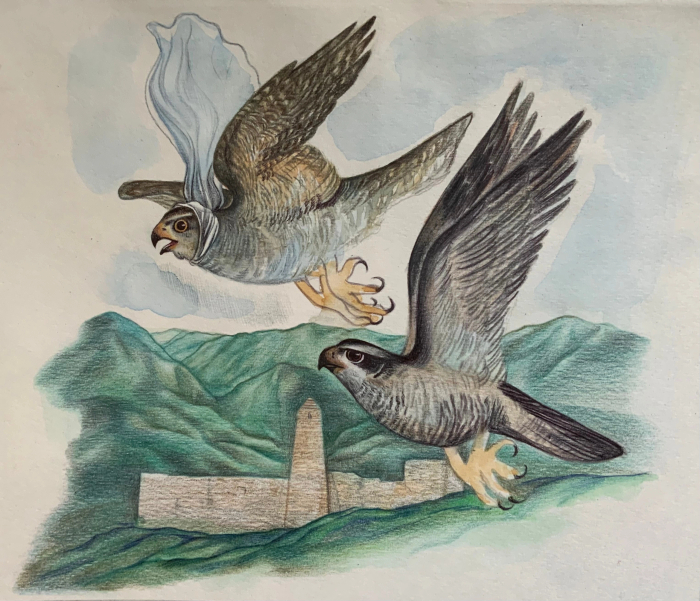 Иллюстрация к чеченским сказкам