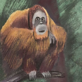 Юпитер, Юп. Таинственный остров. Жюль Верн