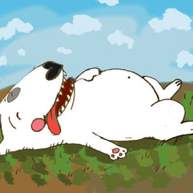 Ферд на солнышке