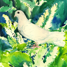 Иллюстрация книги_Е. Либерт_Плодич - мой родной язык_голубь