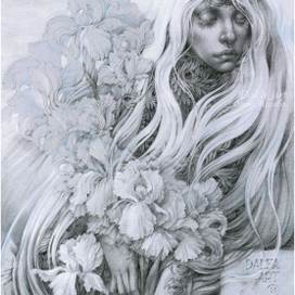 Белые ирисы