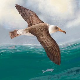 Кто как спит. Издательство Робинс