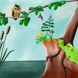 Детская книжная иллюстрация 