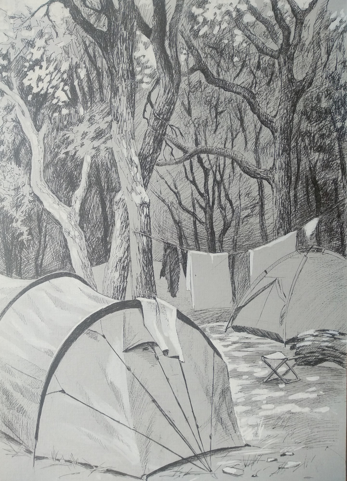 Палаточная стоянка в лесу