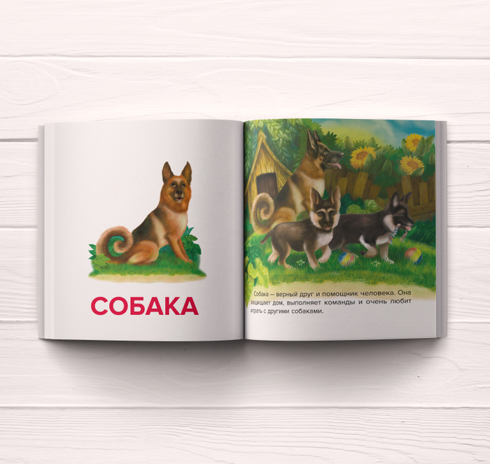 Книга "Первые слова"