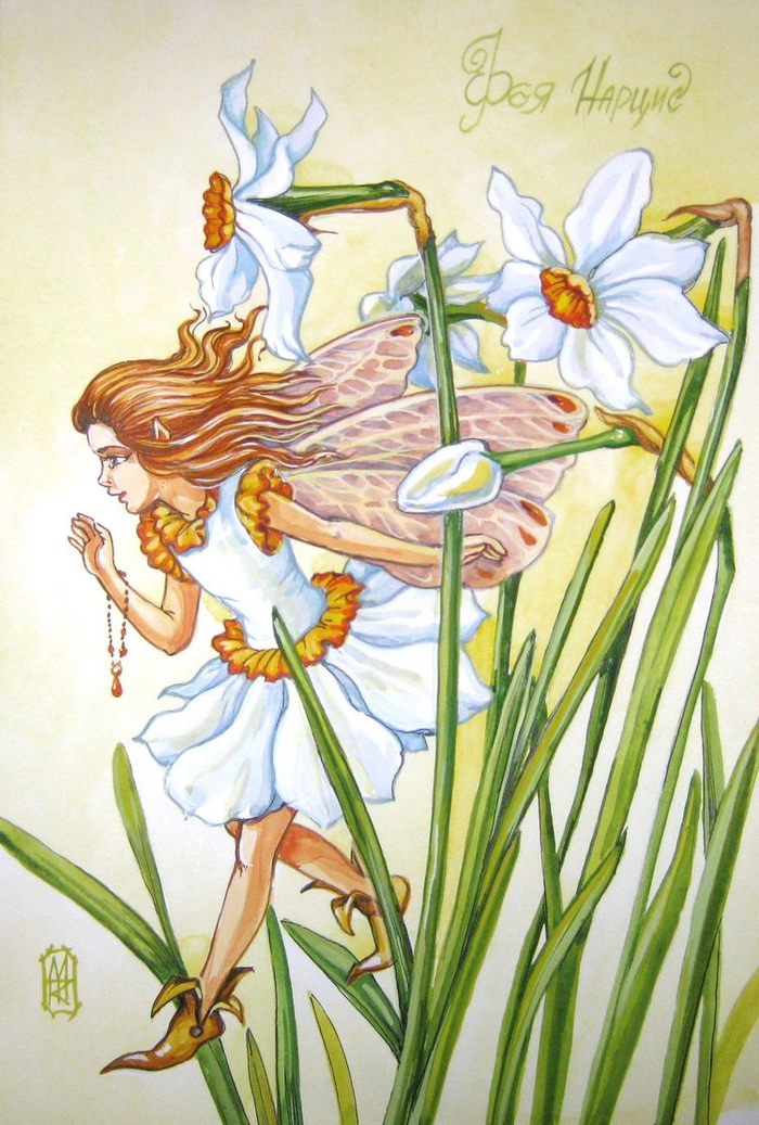 фея нарцис
