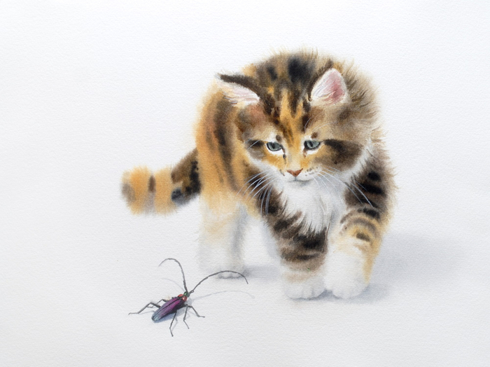 Любопытный котёнок