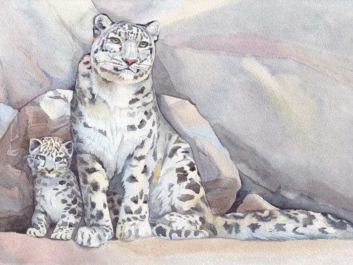 Снежный барс