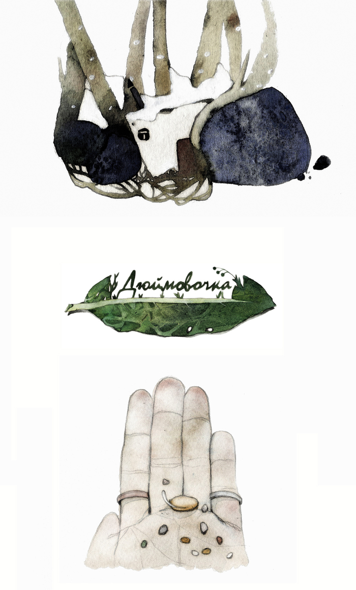 К "Дюймовочке" 