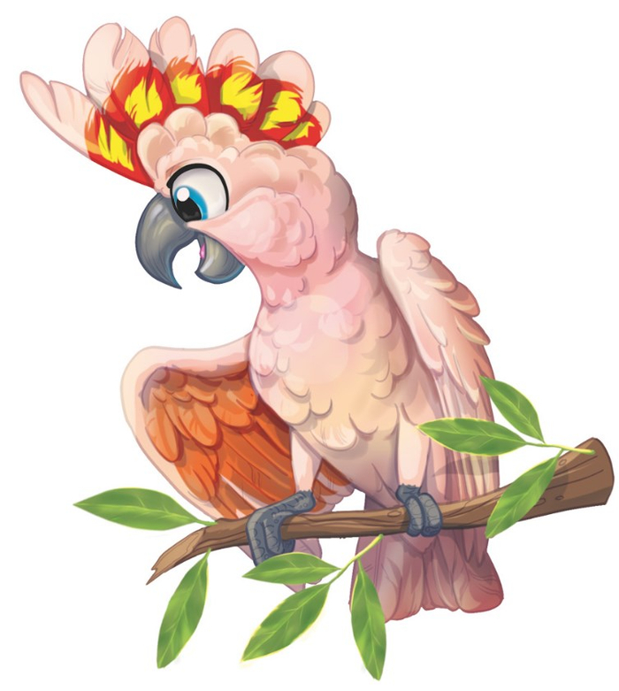 Какаду инка для обложки