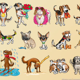 Смешные собаки2