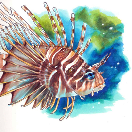 Рыба-дракон