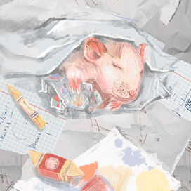 Крыска анфиска