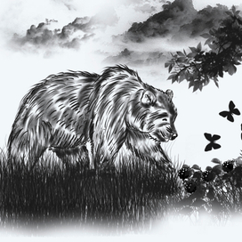 Социальный медведь к книге