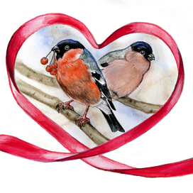 Снегири. Любовь она везде!