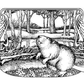 Рисунок для этикетки минеральной воды.