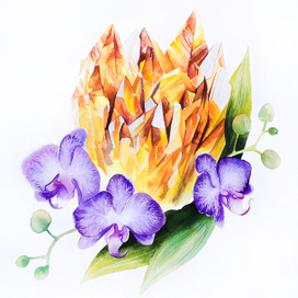 Орхидеи и кристаллы